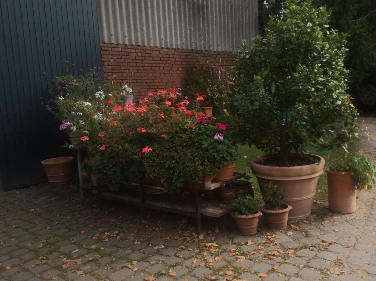 Ferienwohnung Haumannshof Xanten Exterior photo